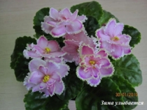 Зима улыбается